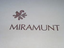 Miramunt Hotel Flims Exterior photo